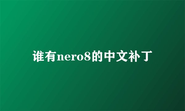 谁有nero8的中文补丁