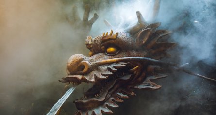 海阔天空指什么生肖动物