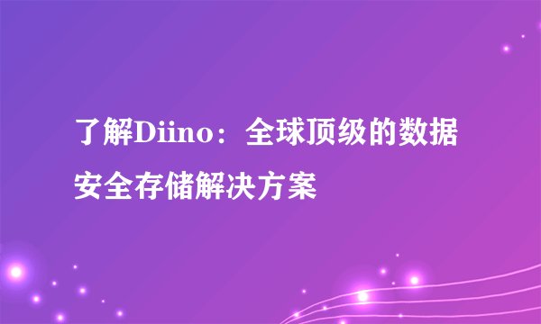 了解Diino：全球顶级的数据安全存储解决方案