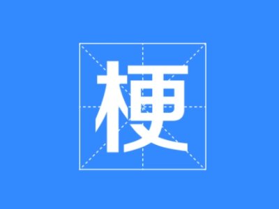 her name plz是什么意思？