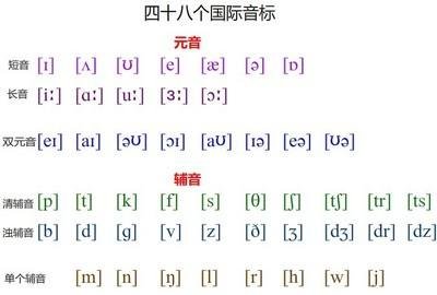 国际音标有几种字体？