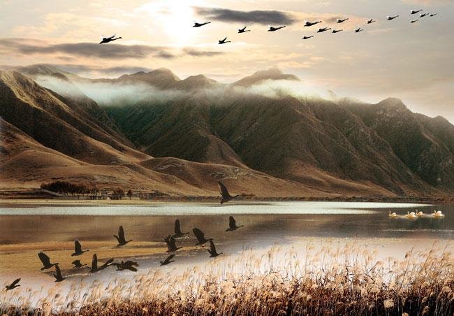 《阳关三叠》歌词是什么？