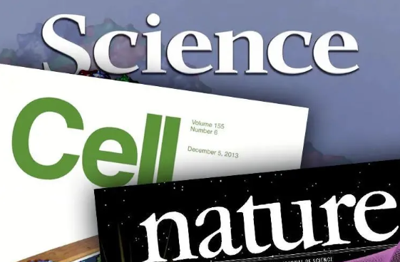 cns是什么级别的期刊