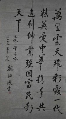 魏炳波的人物履历