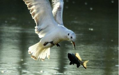 一瞬间和一眨眼区别