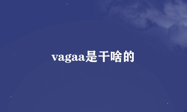 vagaa是干啥的