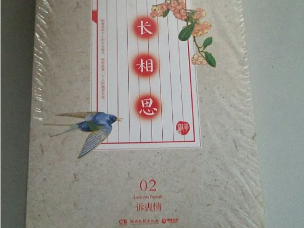 长相思的小说叫什么名字
