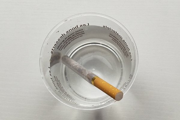 花盆里有小飞虫怎么办