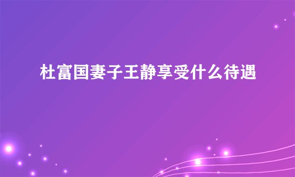 杜富国妻子王静享受什么待遇