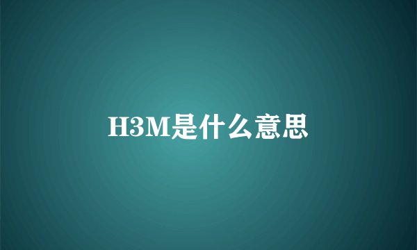 H3M是什么意思