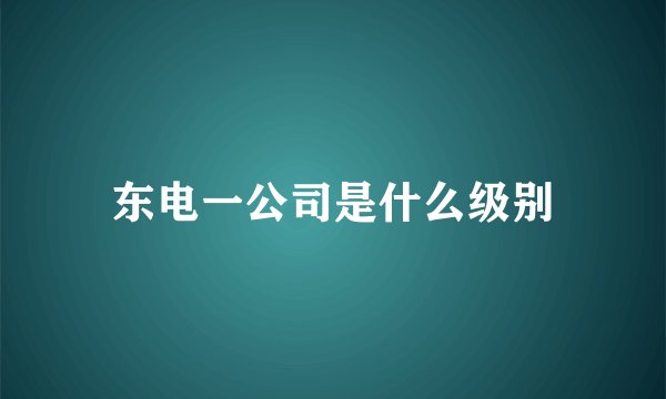 东电一公司是什么级别