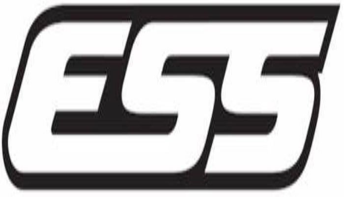ess是什么缩写