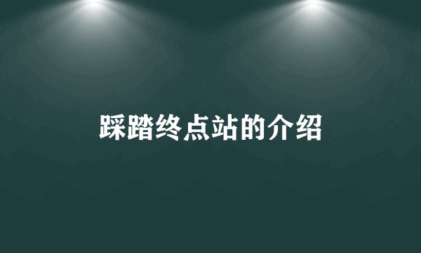 踩踏终点站的介绍