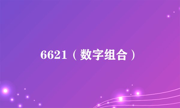 6621（数字组合）