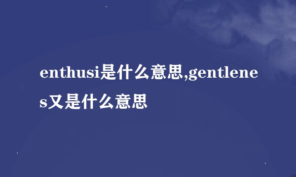 enthusi是什么意思,gentlenes又是什么意思