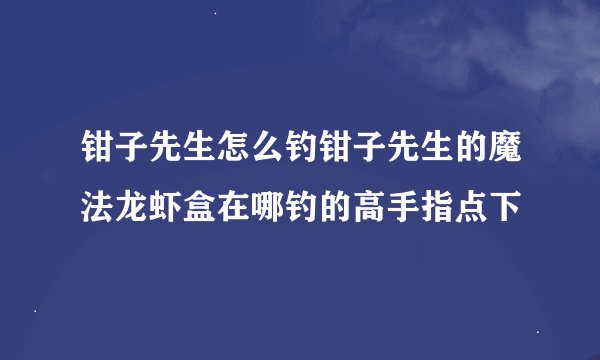 钳子先生怎么钓钳子先生的魔法龙虾盒在哪钓的高手指点下