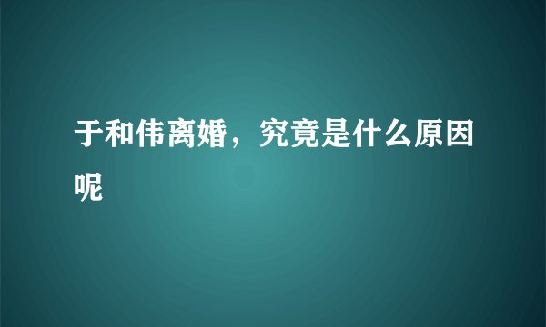 于和伟离婚，究竟是什么原因呢