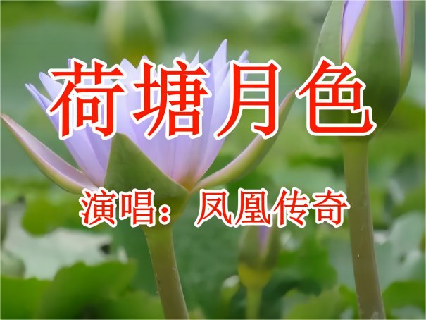 关于月亮的歌曲有哪些 二十首精选