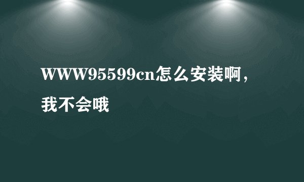 WWW95599cn怎么安装啊，我不会哦