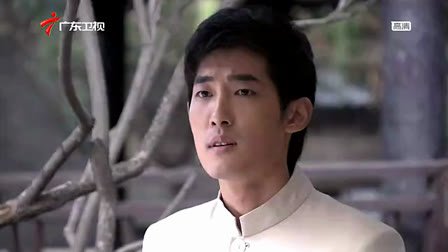 亡命琴师的剧情简介