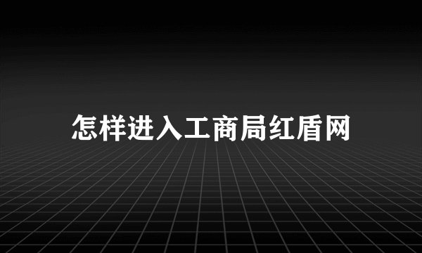 怎样进入工商局红盾网