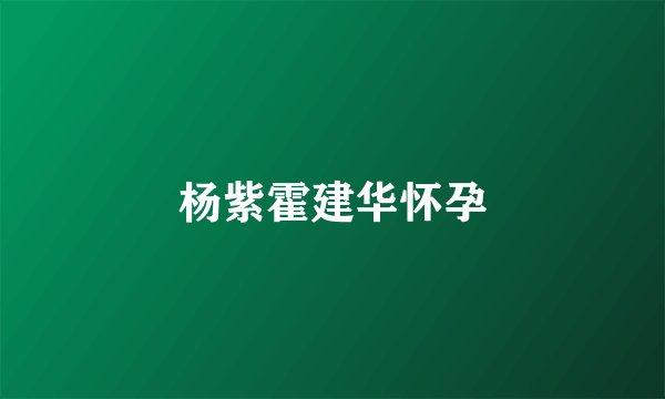 杨紫霍建华怀孕