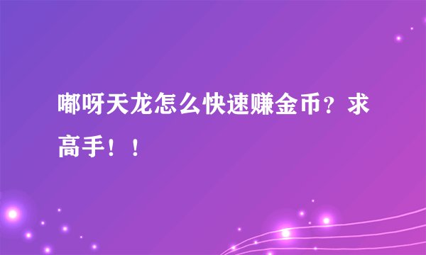 嘟呀天龙怎么快速赚金币？求高手！！