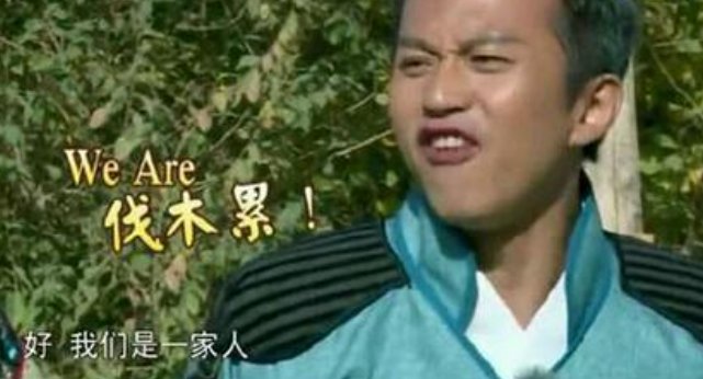 伐木累是什么意思?