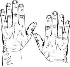 哪只手是左手，哪只手是右手？