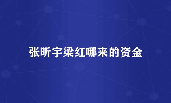 张昕宇梁红哪来的资金