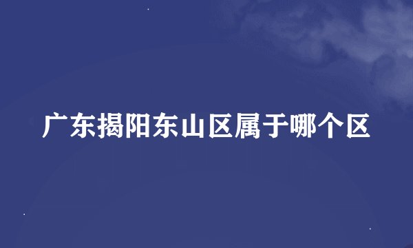 广东揭阳东山区属于哪个区