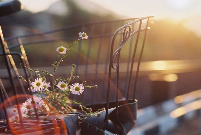 大家觉得《写下些回忆》里面的主角沈芳是荣明方吗?