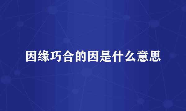 因缘巧合的因是什么意思