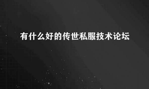 有什么好的传世私服技术论坛