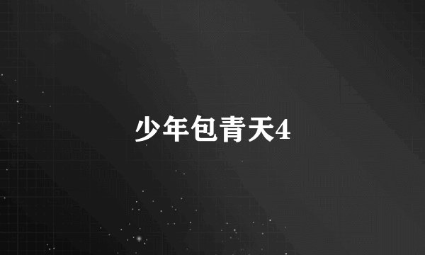 少年包青天4