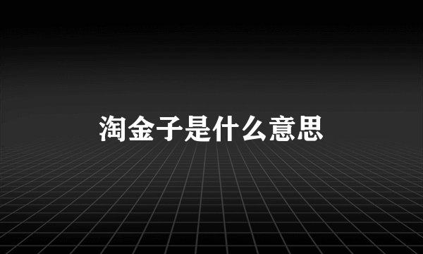 淘金子是什么意思