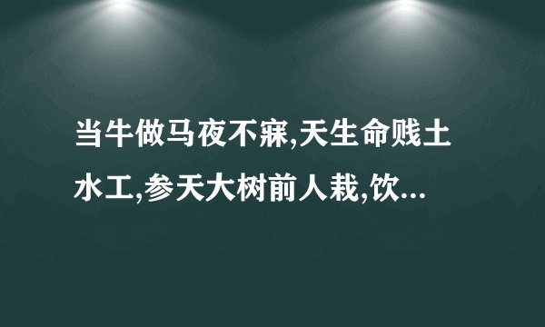 当牛做马夜不寐,天生命贱土水工,参天大树前人栽,饮水思源美德在动物_百 ...