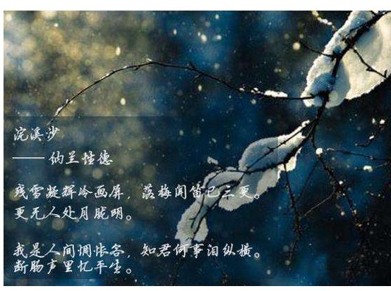 我是人间惆怅客，断肠声里忆平生 什么意思