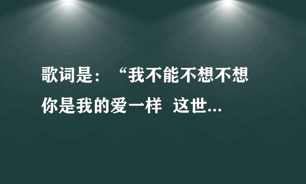 歌词是：“我不能不想不想  你是我的爱一样  这世界纷纷绕绕  （让这世界纷纷绕绕）”。这是哪首歌啊