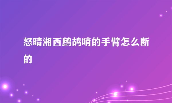 怒晴湘西鹧鸪哨的手臂怎么断的