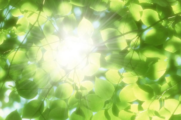 二十世纪什么时候中国获得无毒国的美誉近30年