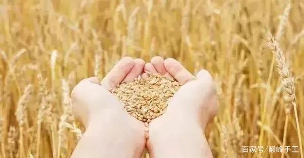 全球食品价格连续9个月上涨，为何会出现这样的趋势？