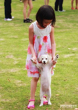 外星小精灵的怎么给小宠物喂食并和与他/她玩耍？