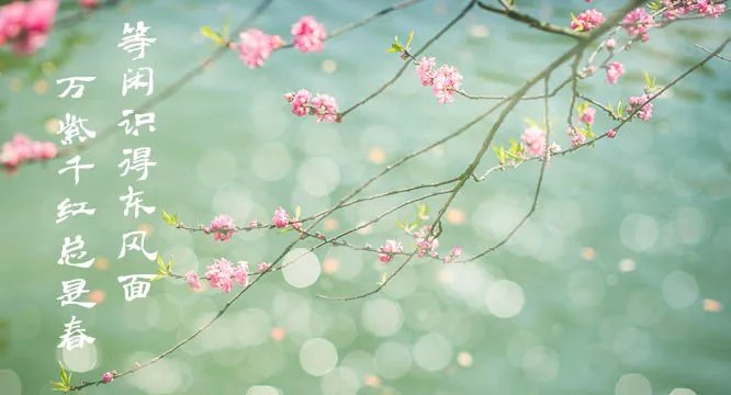 等闲识得东风面全诗