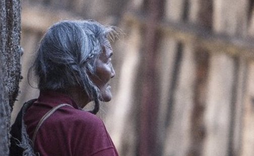 岁月无情催人老的完整诗句是什么?