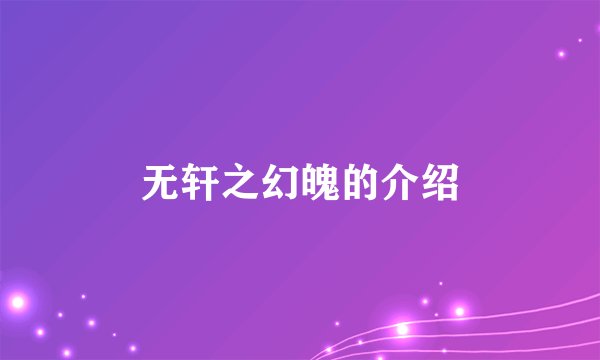 无轩之幻魄的介绍