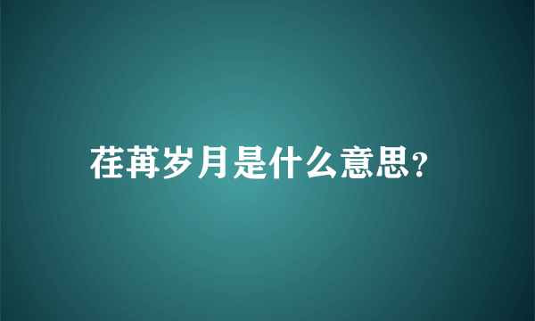 荏苒岁月是什么意思？