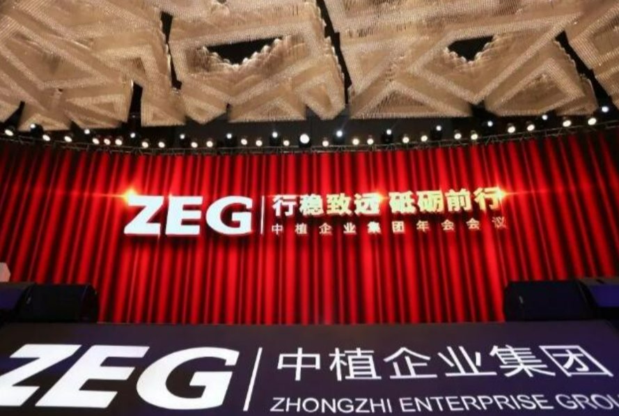 中植系什么意思