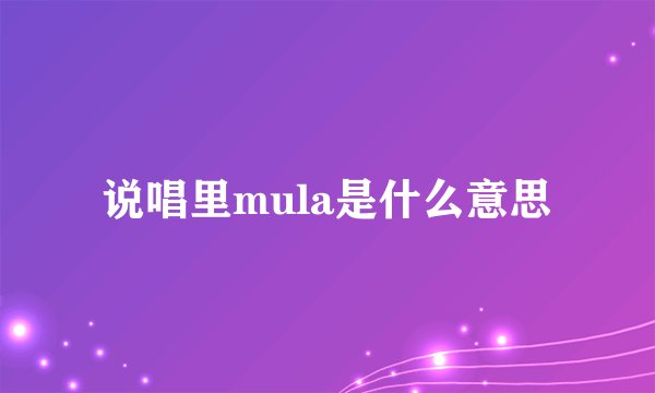 说唱里mula是什么意思