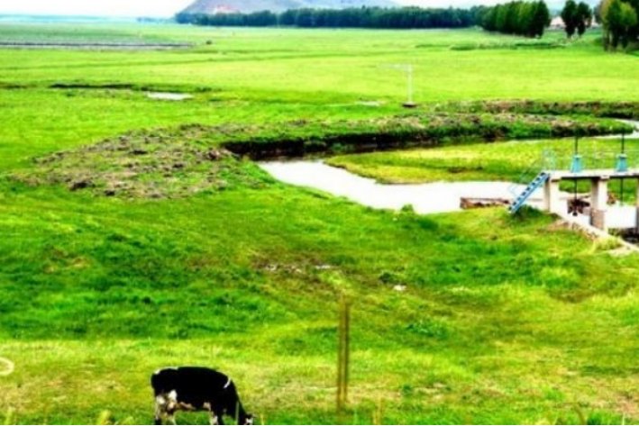 农事类谚语有哪些